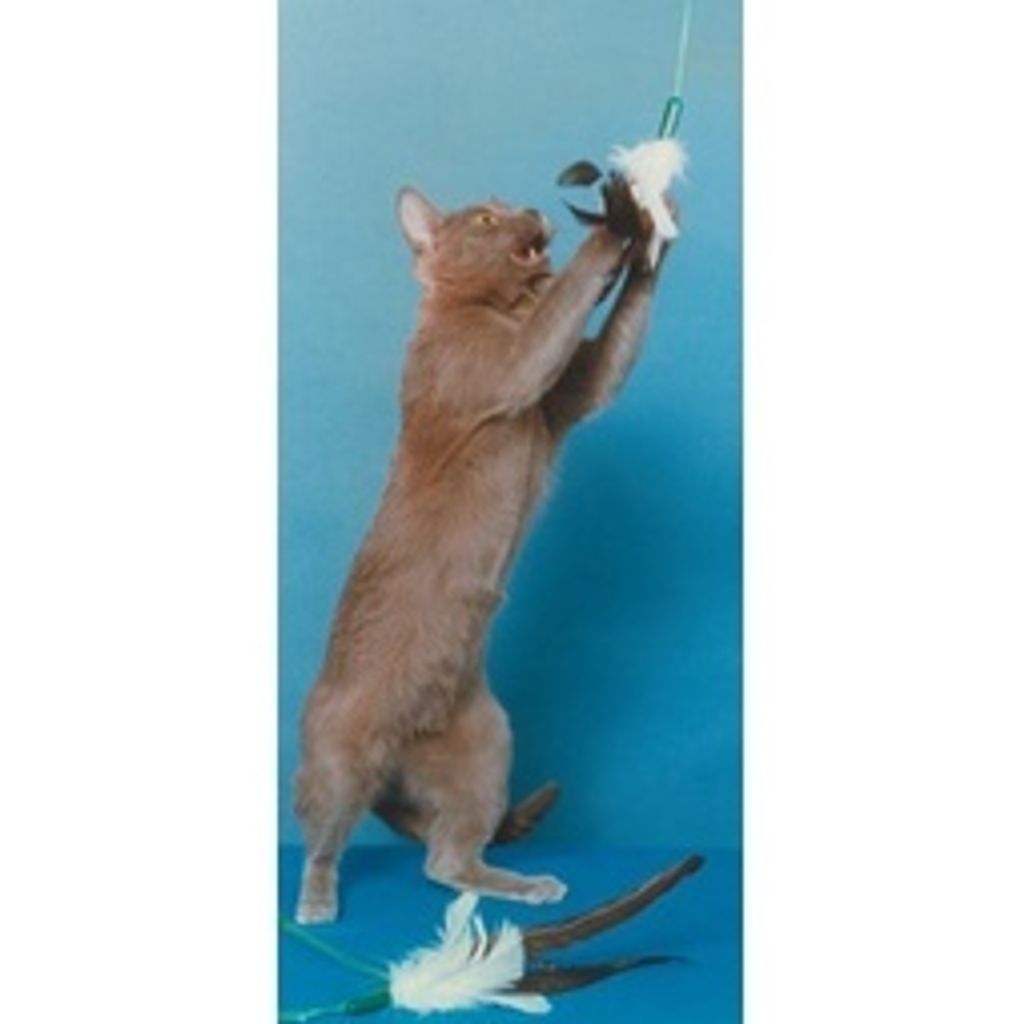 sg-11134201-22110-yusuxn5hovjv46