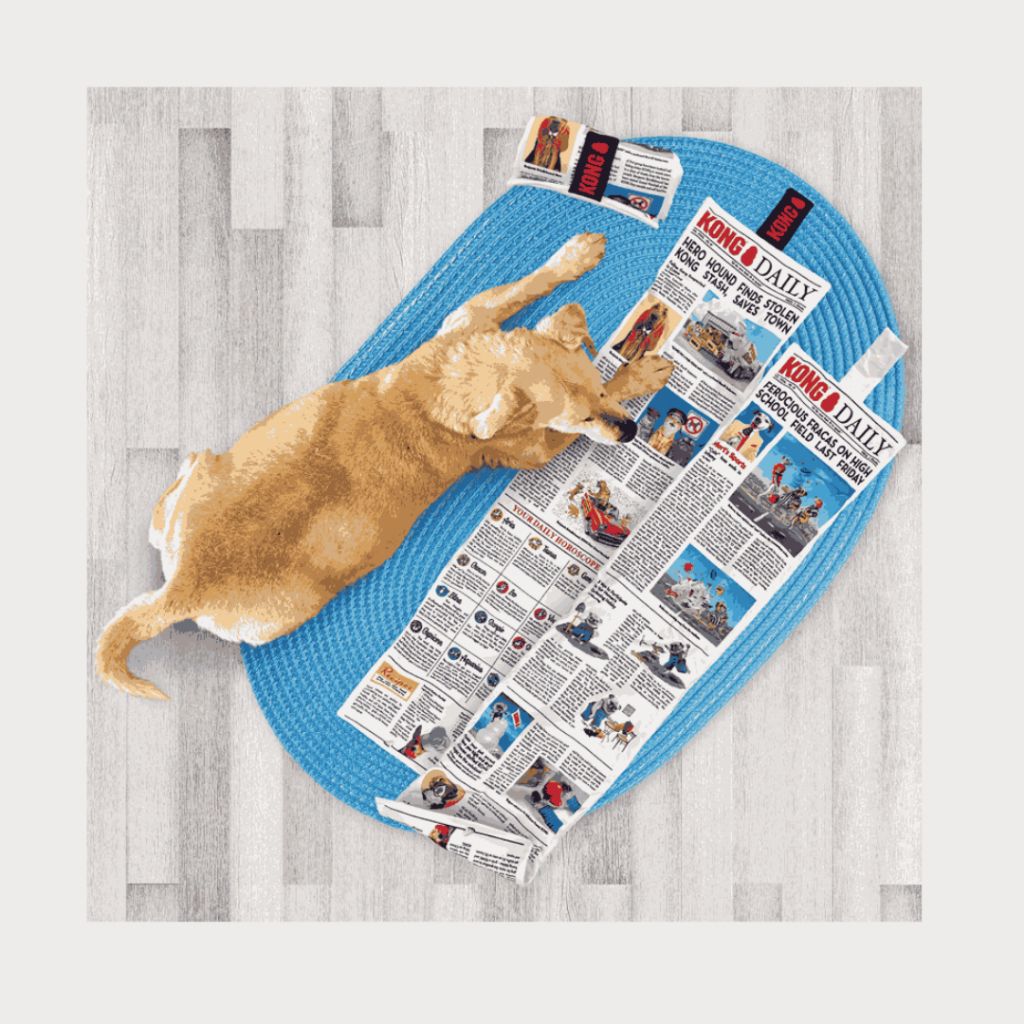 tw-11134207-7ra0m-mdvb6v33rsjpe1