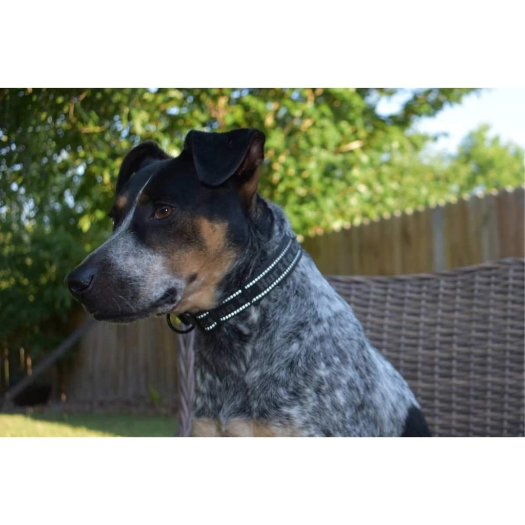 c353e9ceecb6df15ca6ebc6b403ca7d1