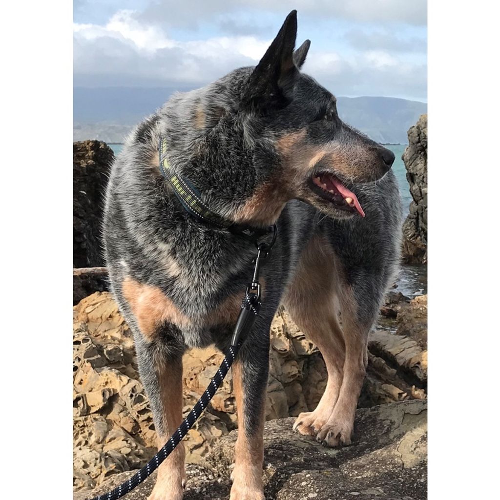 a2547de49b3f14aead967e58b8939656