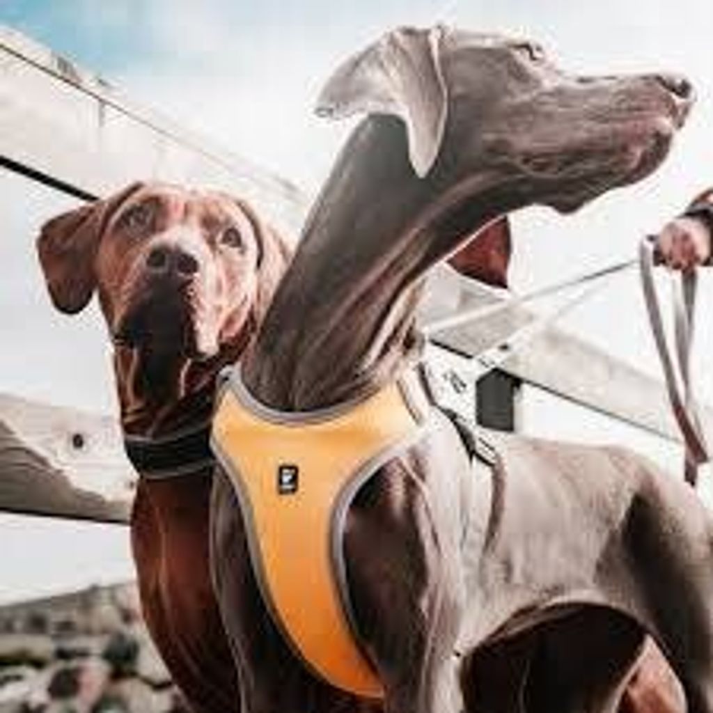 5b1cabf360ec07666db4beb2cdbff30a