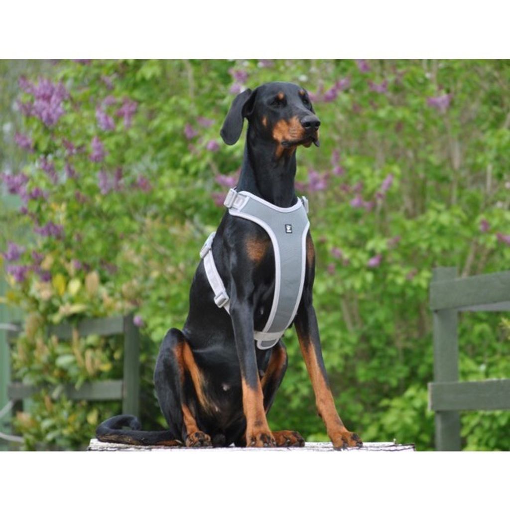 c2e86679bfa6dc4d86312f0bc14a9172