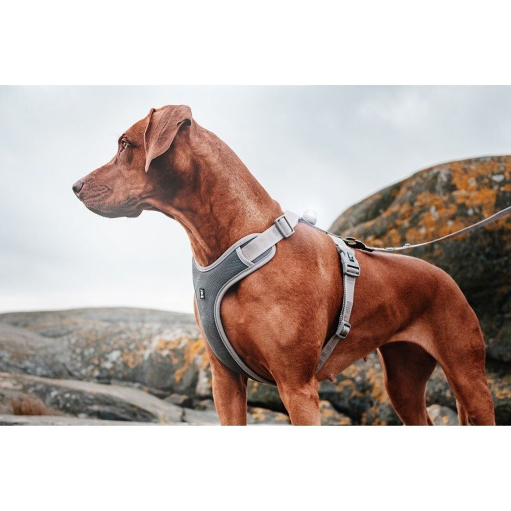 ea3135befba1de5d3e597a0752acd915