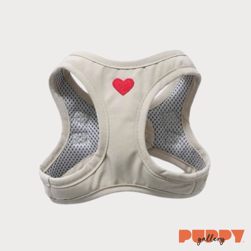 tw-11134207-7rbkb-makxzef7vgqeda