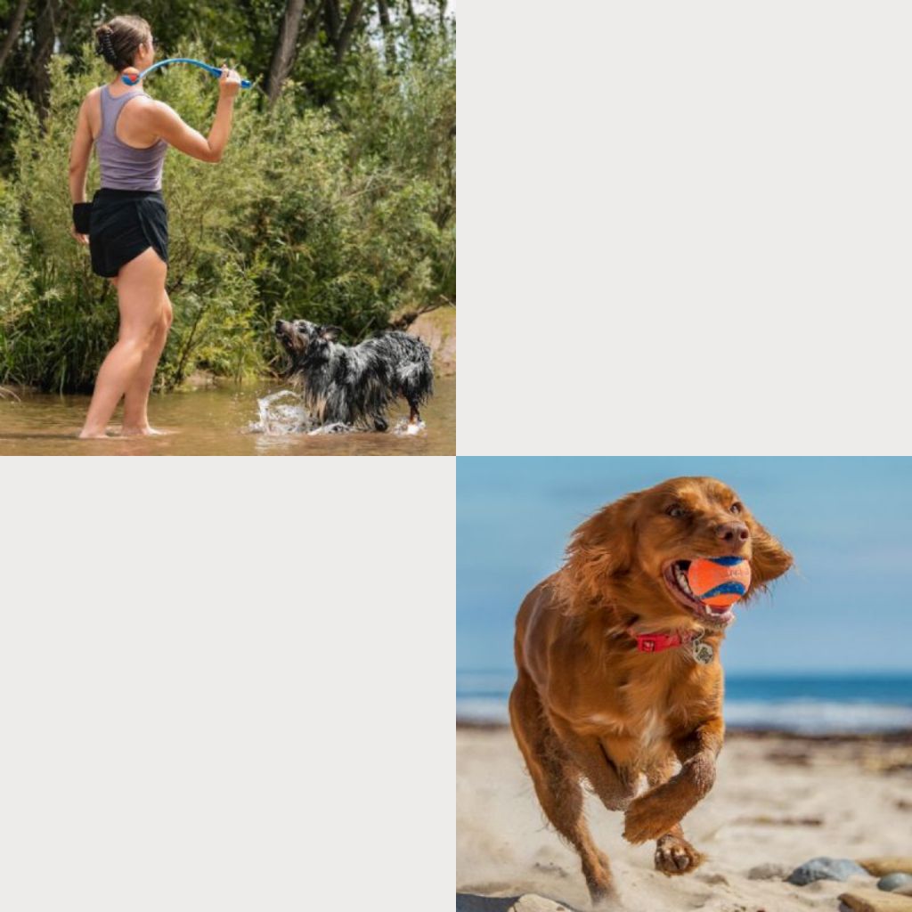 tw-11134207-7ra0q-mdledx1qkpgj75