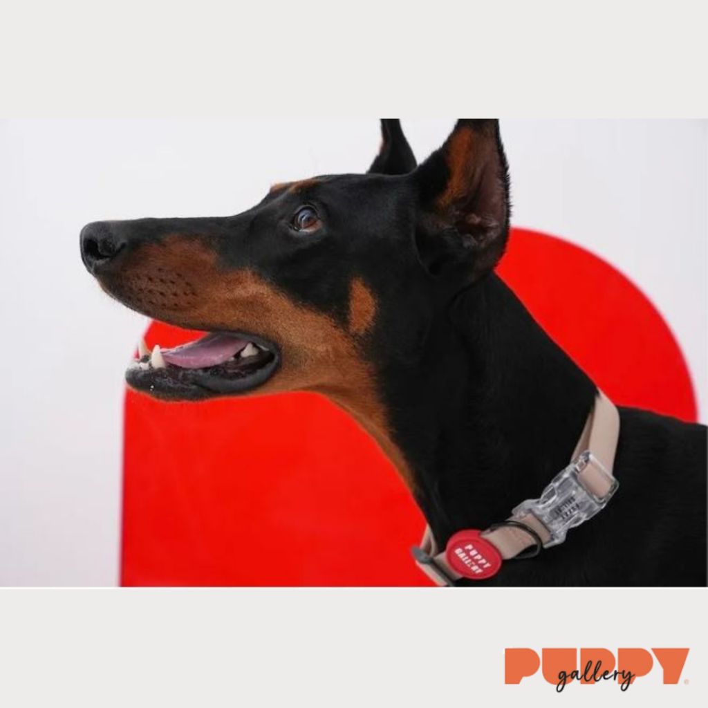 tw-11134207-7rbk9-makzya1fw2yhdc