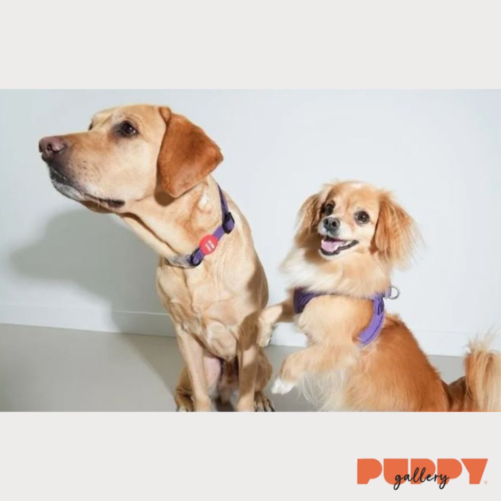 tw-11134207-7rbk9-makzygc4ocmx24