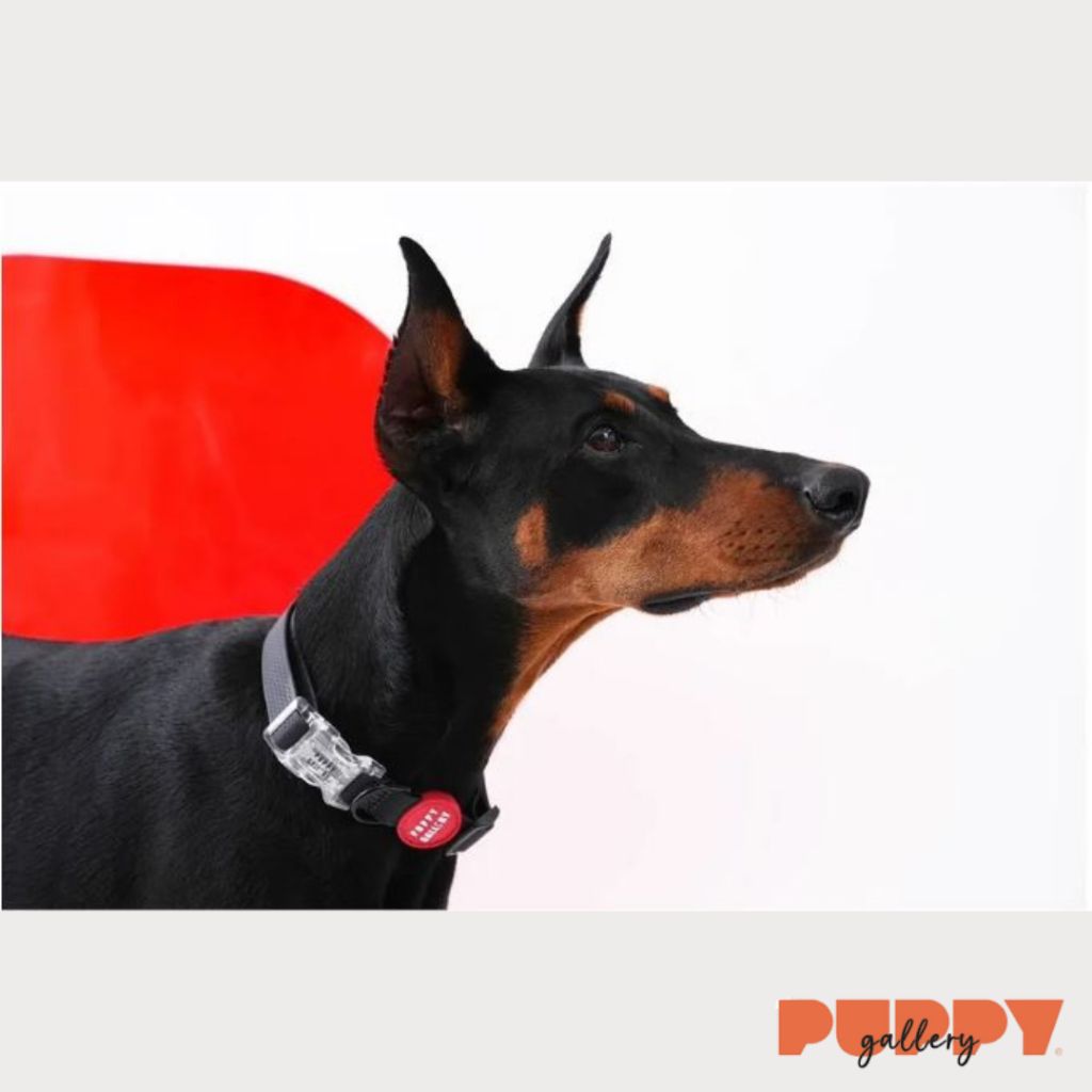 tw-11134207-7rbk9-makzyiub0dx22f