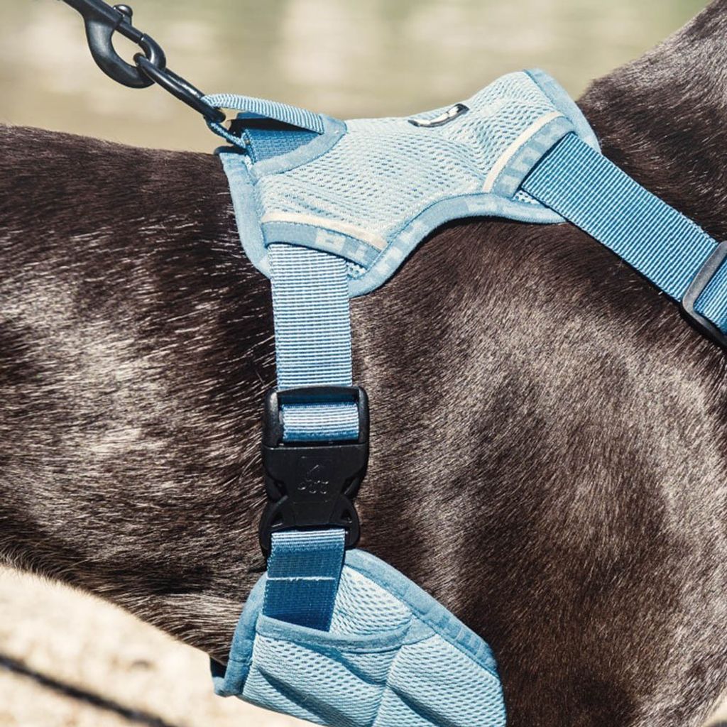 tw-11134207-81ztk-mdwqpxcrfh8g6a