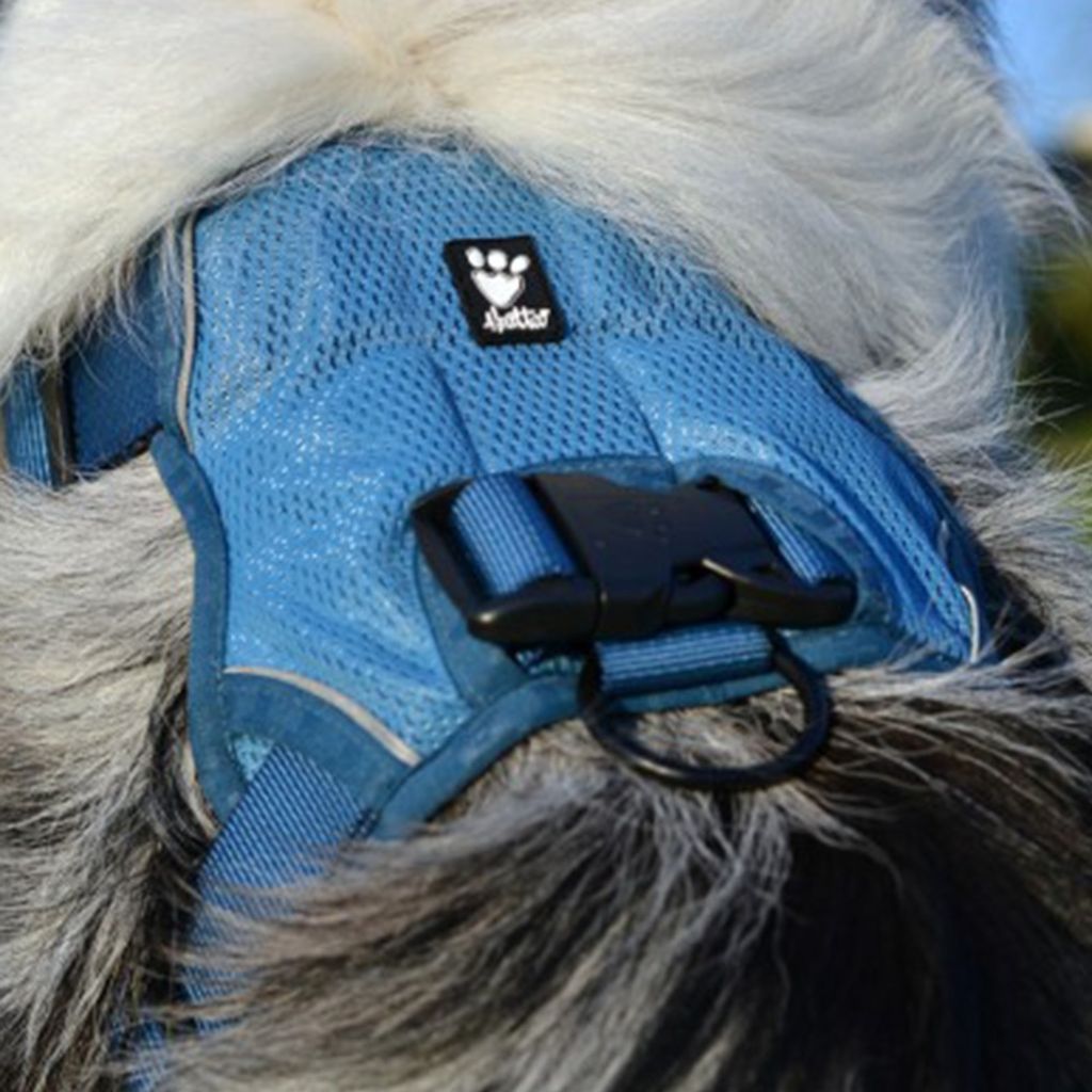 tw-11134207-81ztm-mdwqq59w61ade8