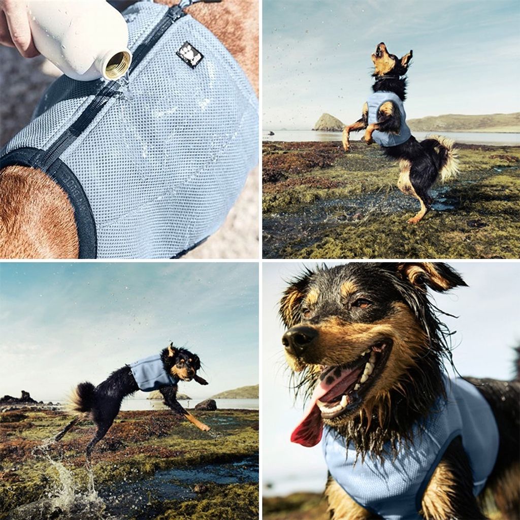 ac2dc02002a961df97e91a495f3d0585