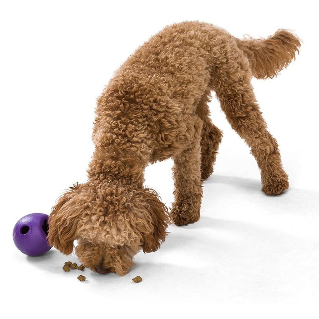 17a5aa37a65a717111bcb812f18d2653