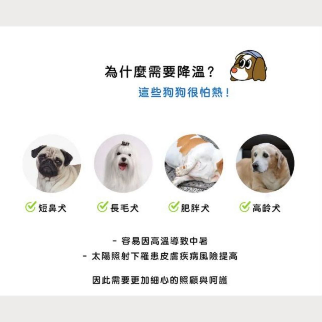 tw-11134207-7rbk2-maux0e4o3it505