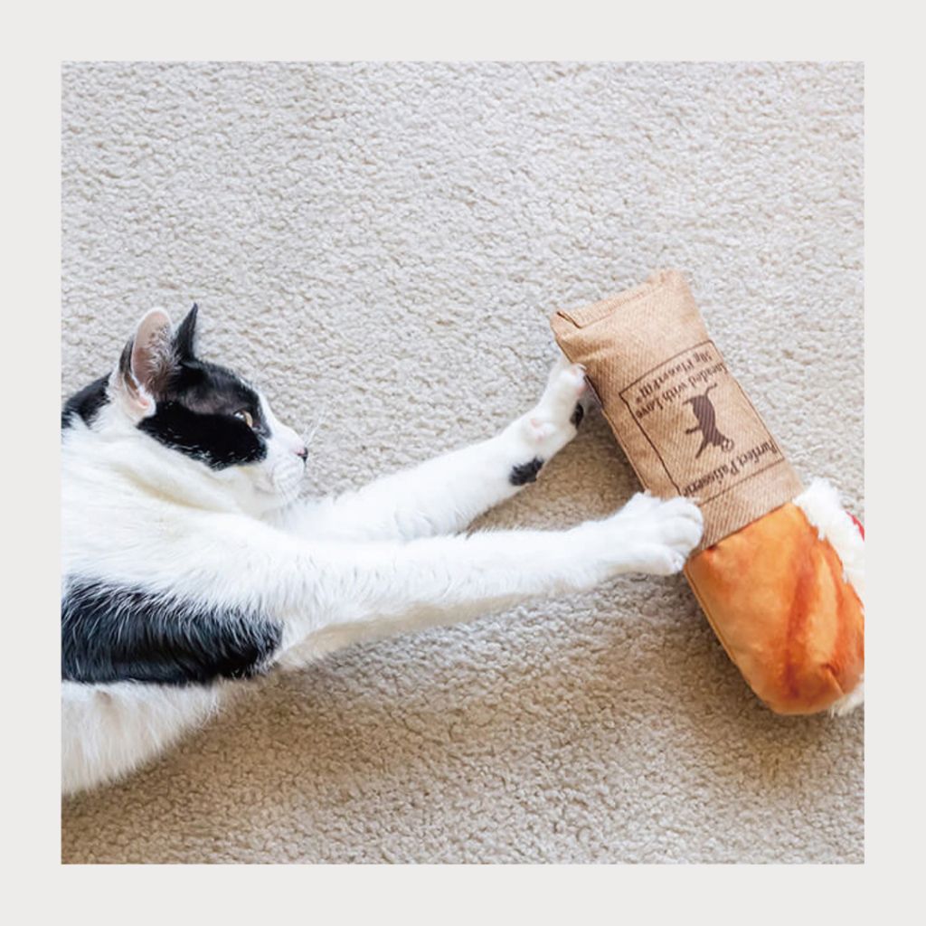 tw-11134207-7rasc-m31n6uxhyu17ab