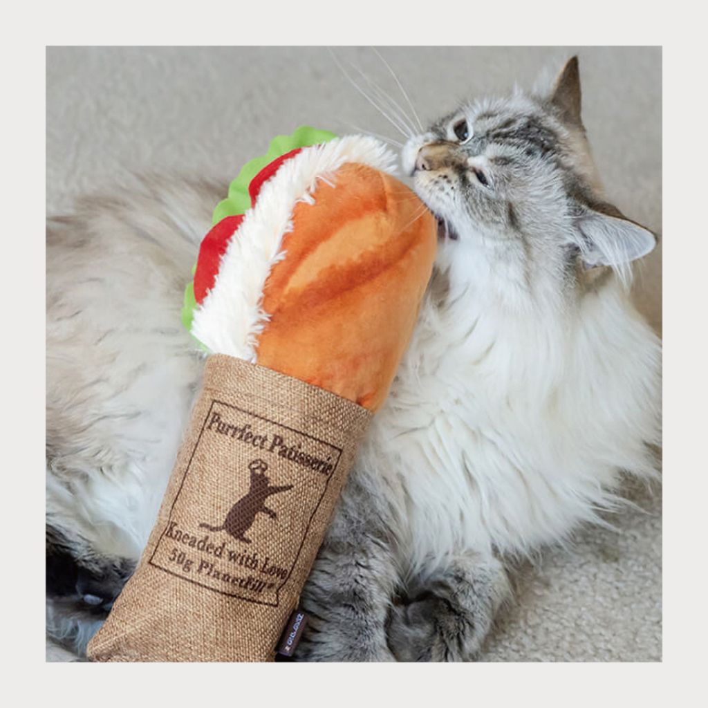 tw-11134207-7ras8-m31n6yah1svf05