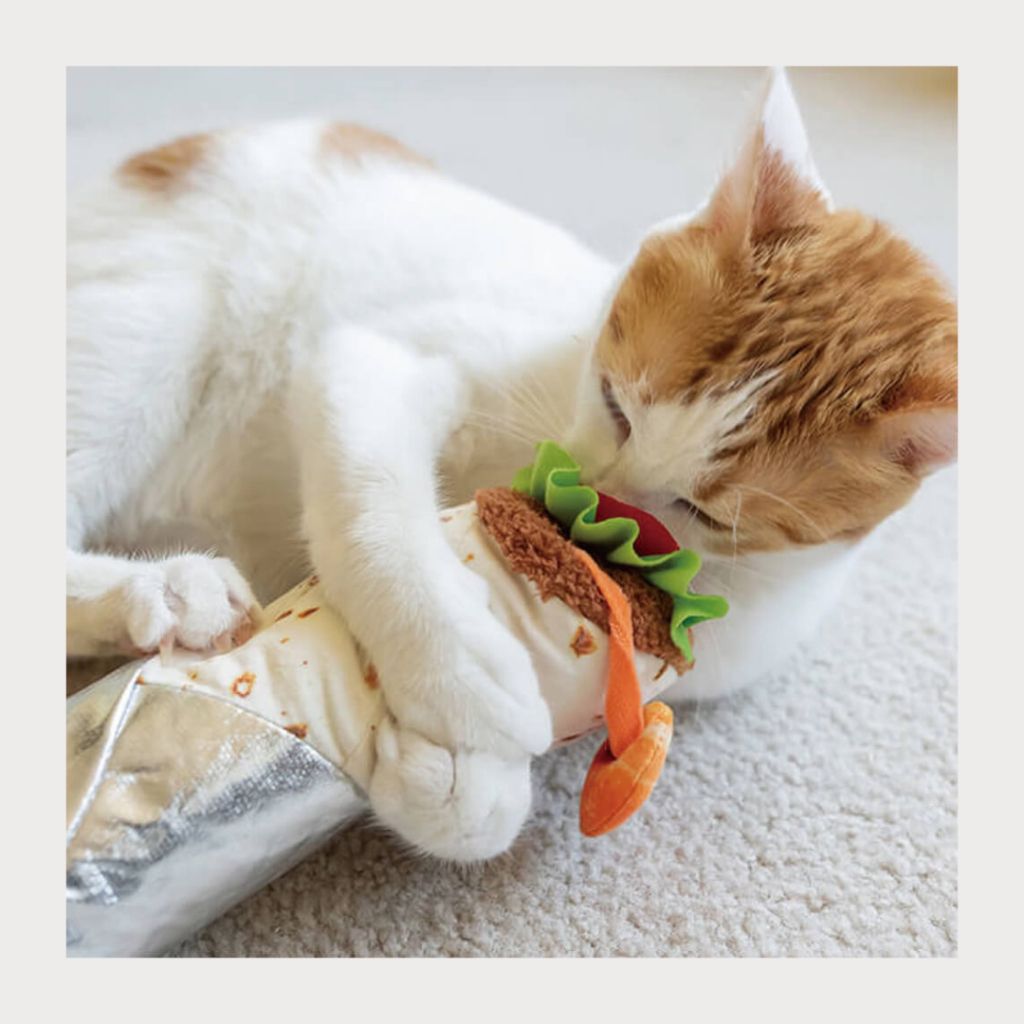 tw-11134207-7rasi-m31n73f9yu0b6c