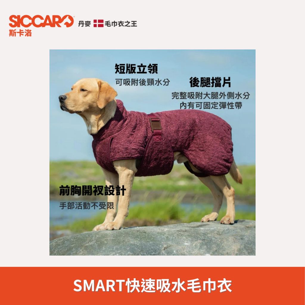 tw-11134207-7r98p-lvmolgeu8b8v95