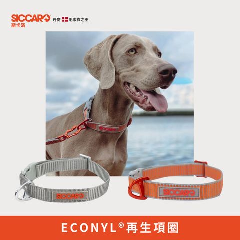 tw-11134207-7ra0p-mcrnjq6pv1becb