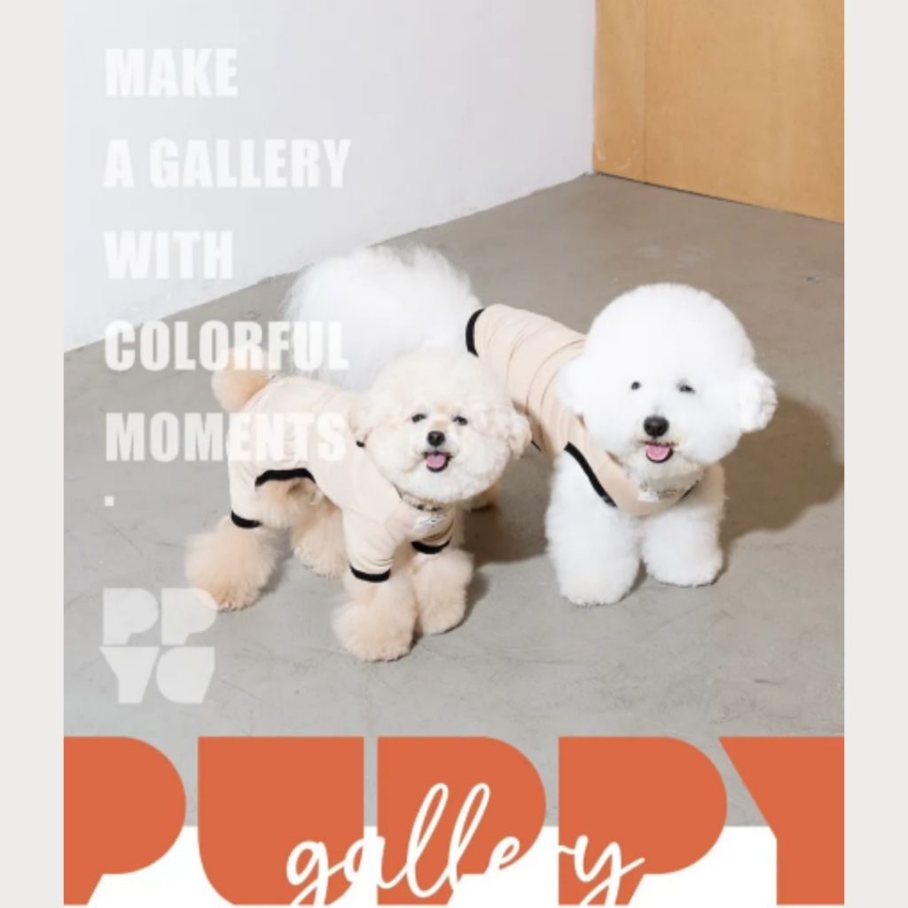 tw-11134207-7ra0t-md33axkv31ii76