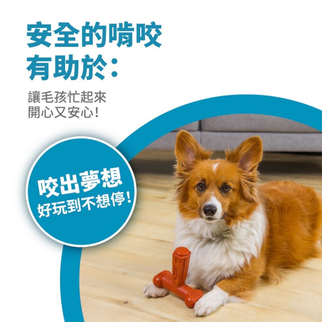 tw-11134207-7ra0u-mcrj9ew5cyyn46