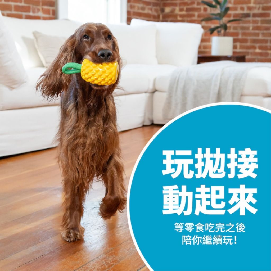 tw-11134207-7ra0i-mcrh9tl4xpwq80