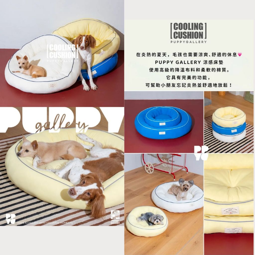 tw-11134207-7rbkd-majfd85v504663