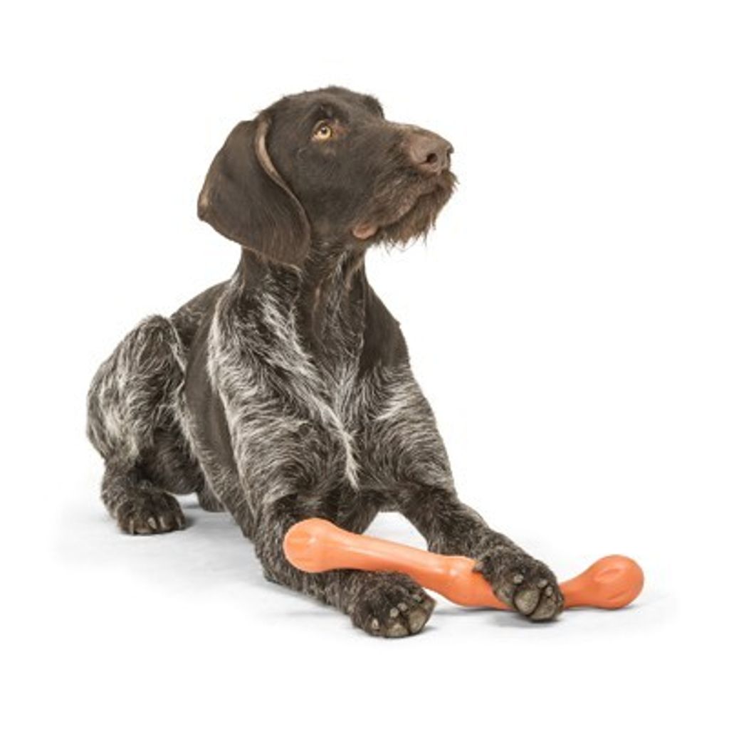 22269035f34c857bbb3dddaa87c3f290