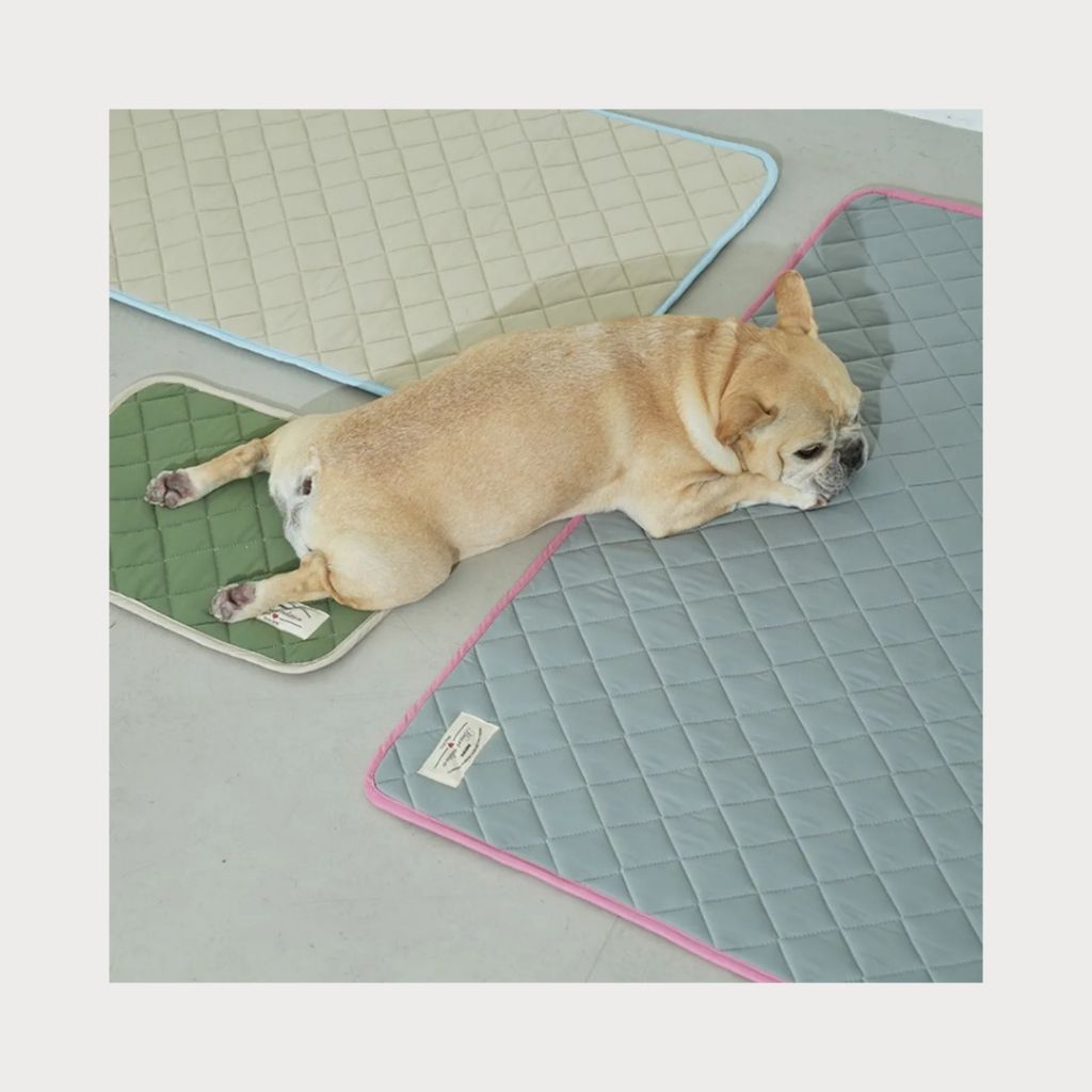 tw-11134207-7ra0g-md1gdx2xkl4v9c