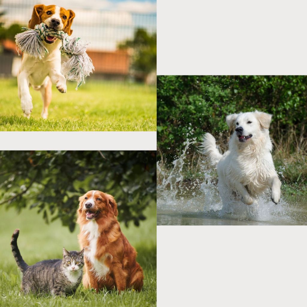 tw-11134207-7ra0q-md2oamqz0ncvdd