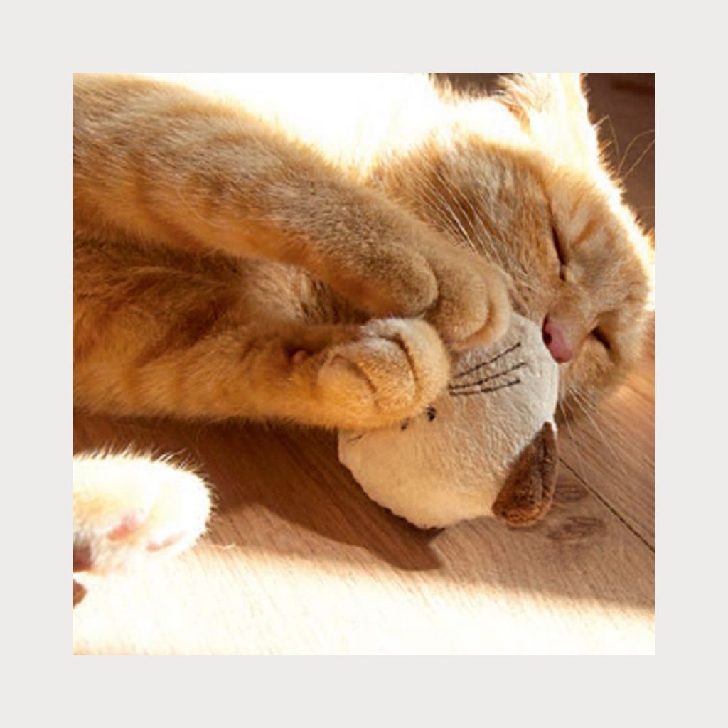 tw-11134207-7ra0u-mchedw605hrz1a