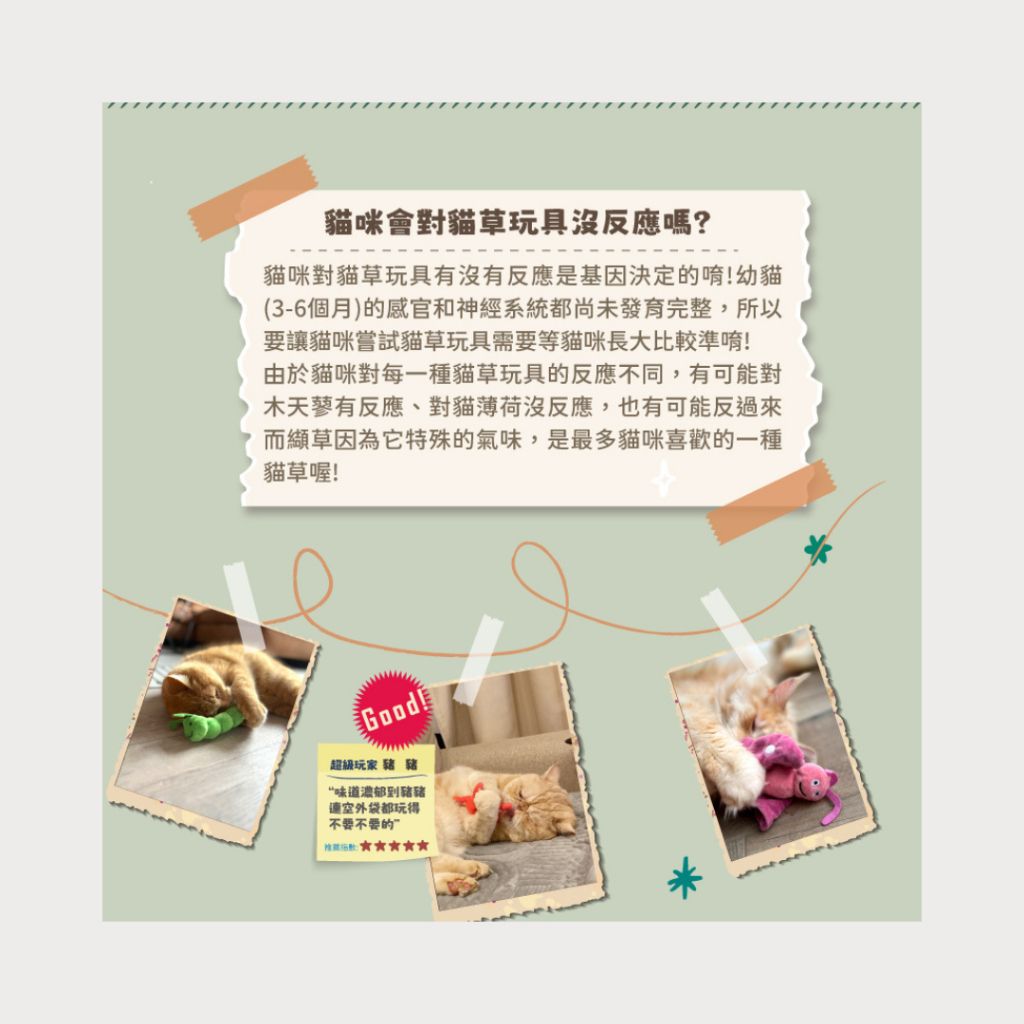 tw-11134207-7ra0j-mc8qqxxsvvh84e