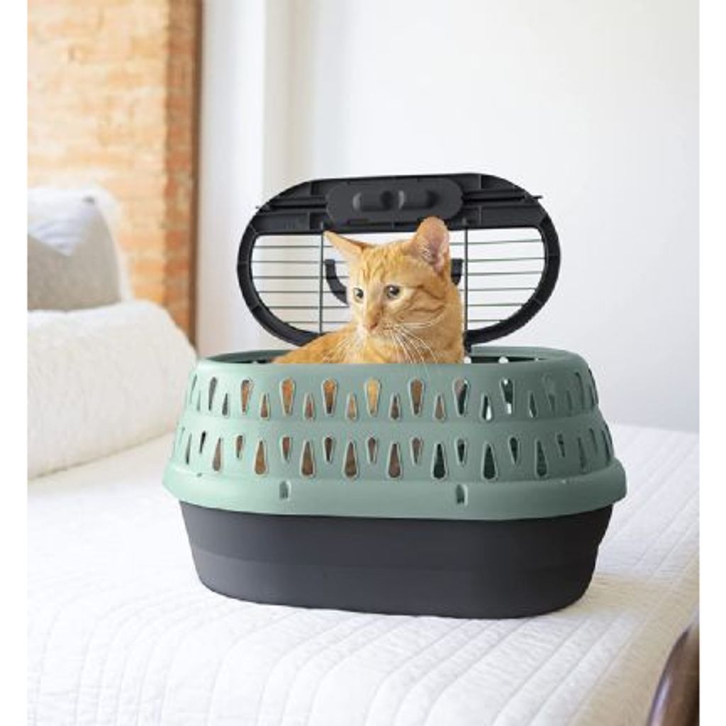 tw-11134207-7qul6-lfgo79yw6qcq70