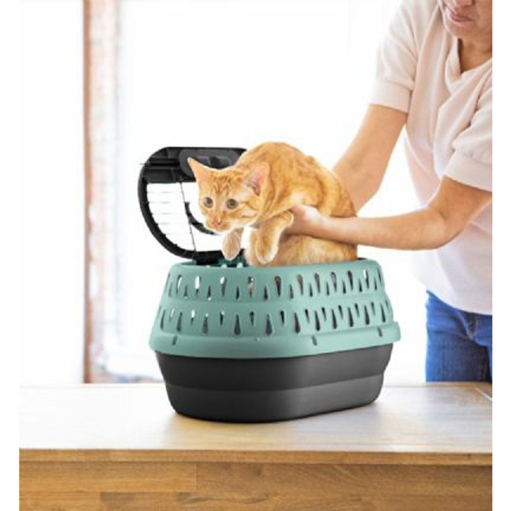 tw-11134207-7qul5-lfgo79yvra3u3d