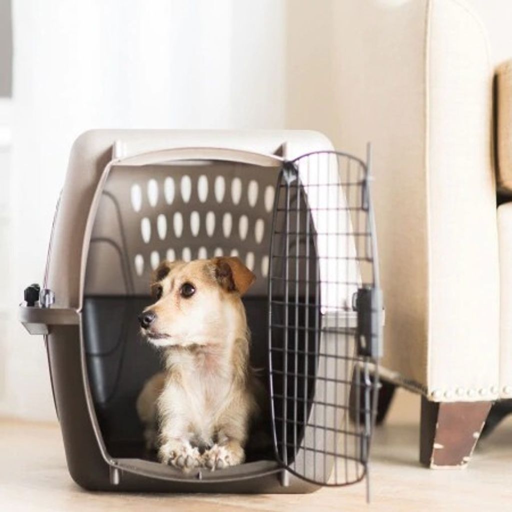 698816e069fd8139890d1eca15c8edb3