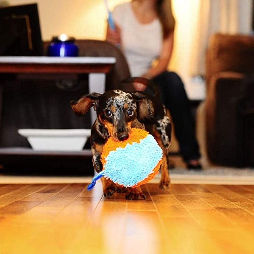 affa1fd584ba7cc05491ccc5556d7772