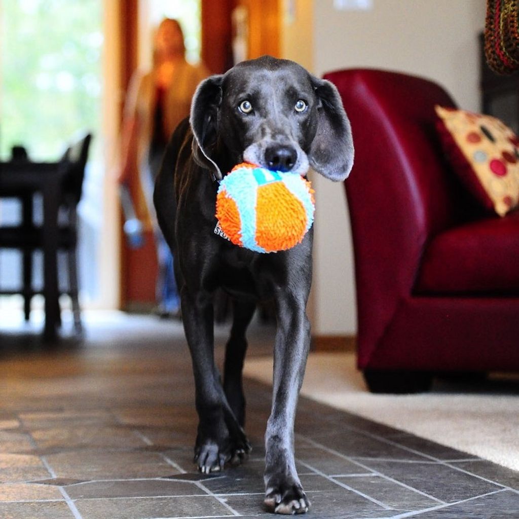 7ae376a8d0908e32949edaf94c1b3e50