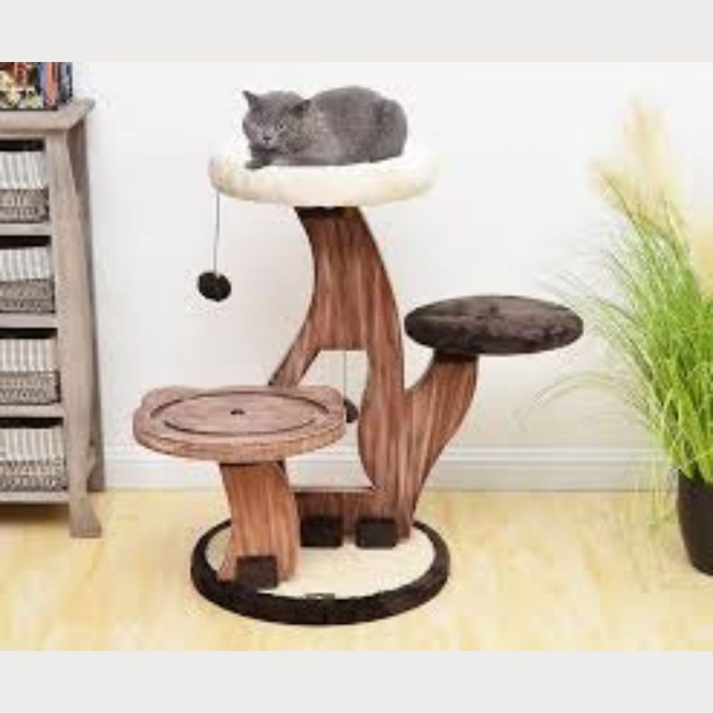 tw-11134207-7r990-lxrzjv7veiwg7e