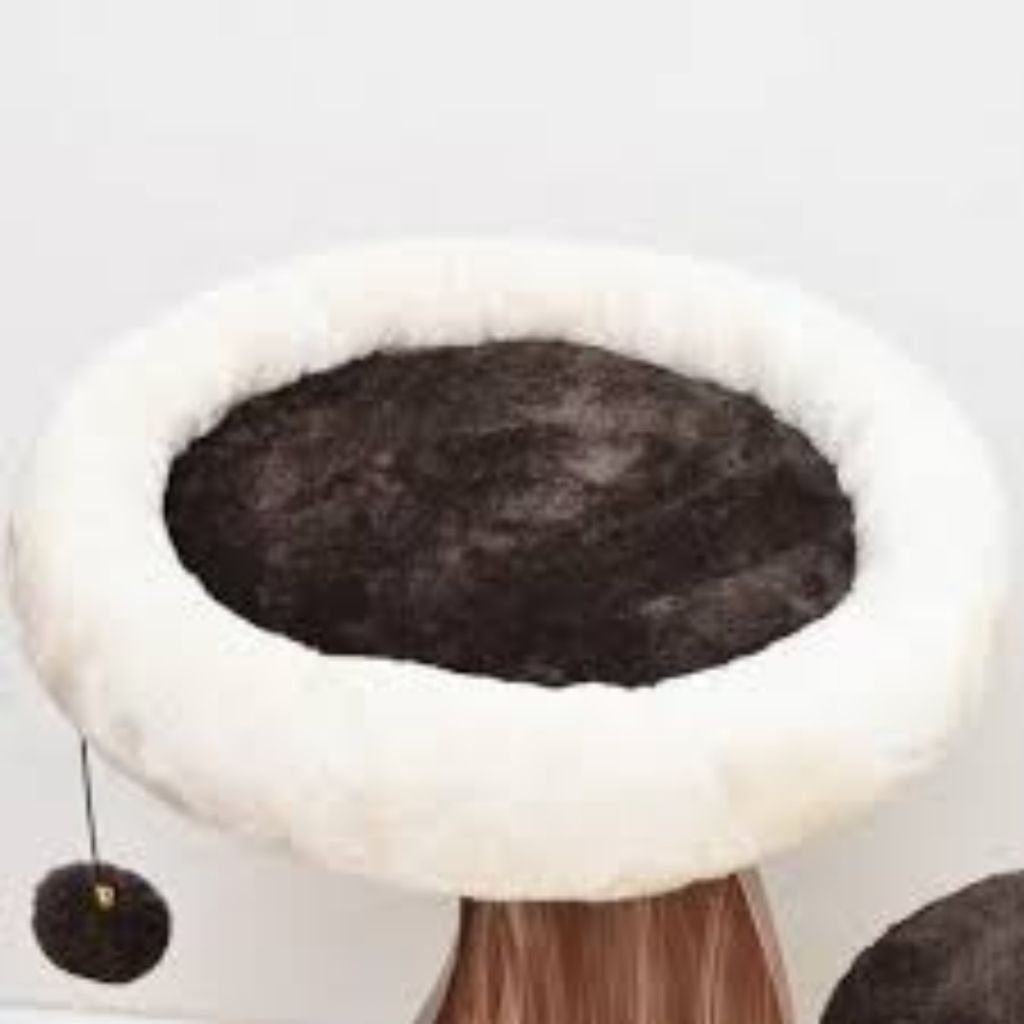 tw-11134207-7r98q-lxrzjz9tgy7k74