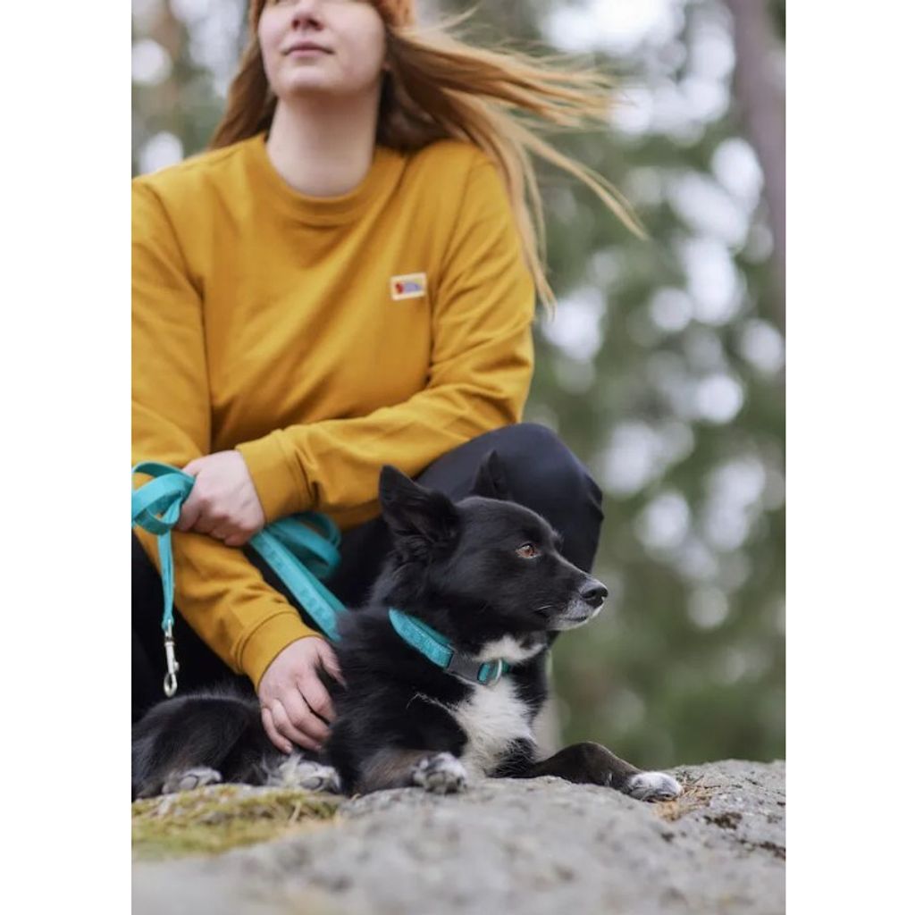 tw-11134207-7qul9-ligw5n7pif1w0b