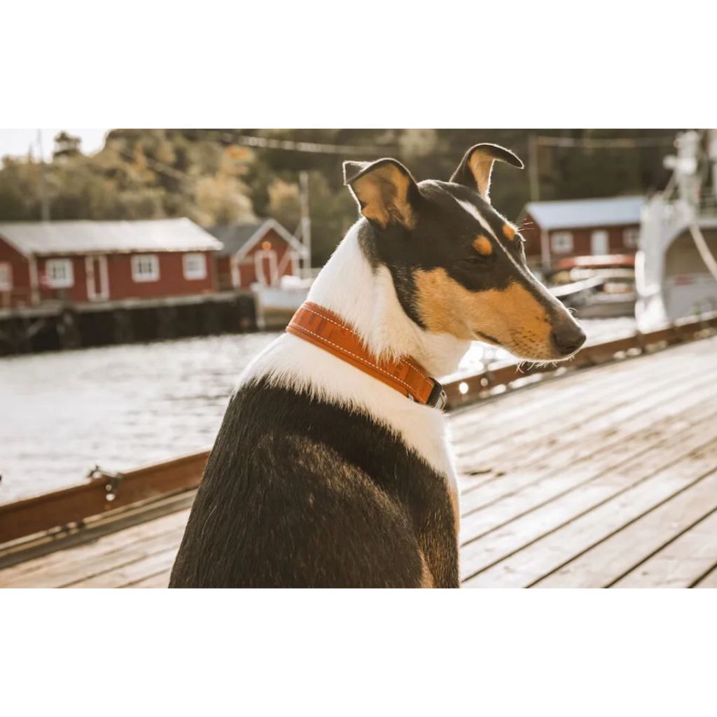 tw-11134207-7quky-ligw5n7pjtmc64