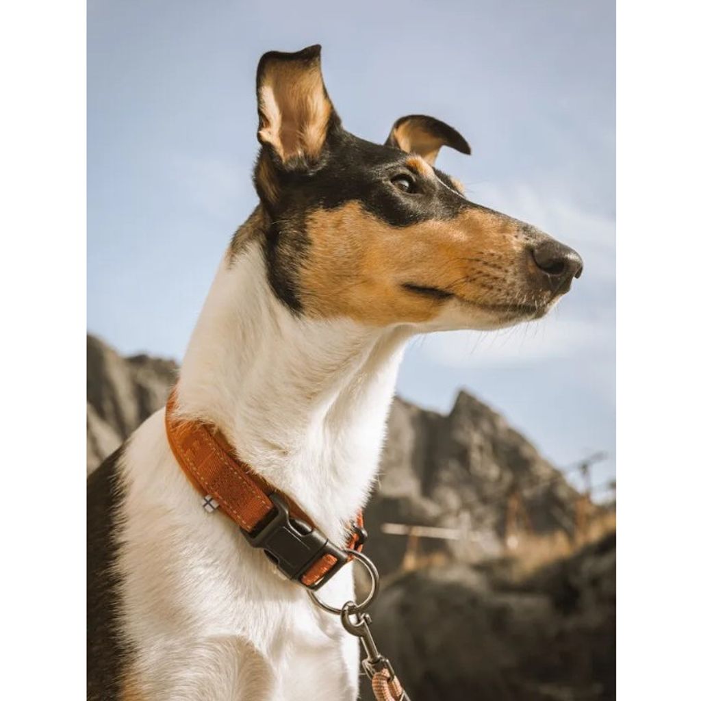 tw-11134207-7qul7-lih2opqz840219