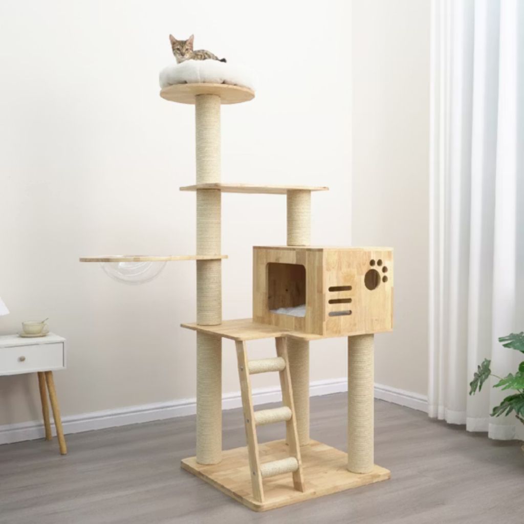 tw-11134207-7rasm-m59mzb8j258h1f