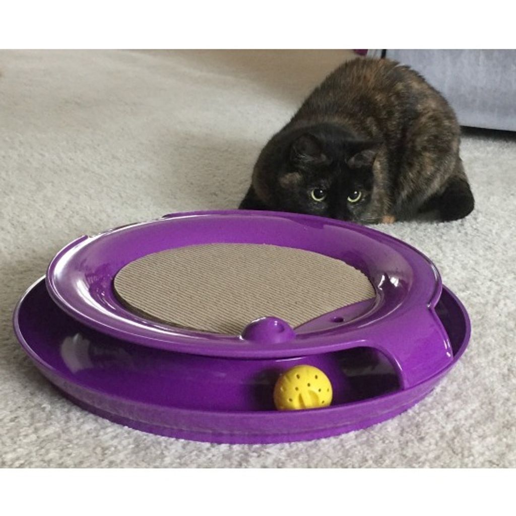 74a7961c88aacd460dc65c6b90e896f5