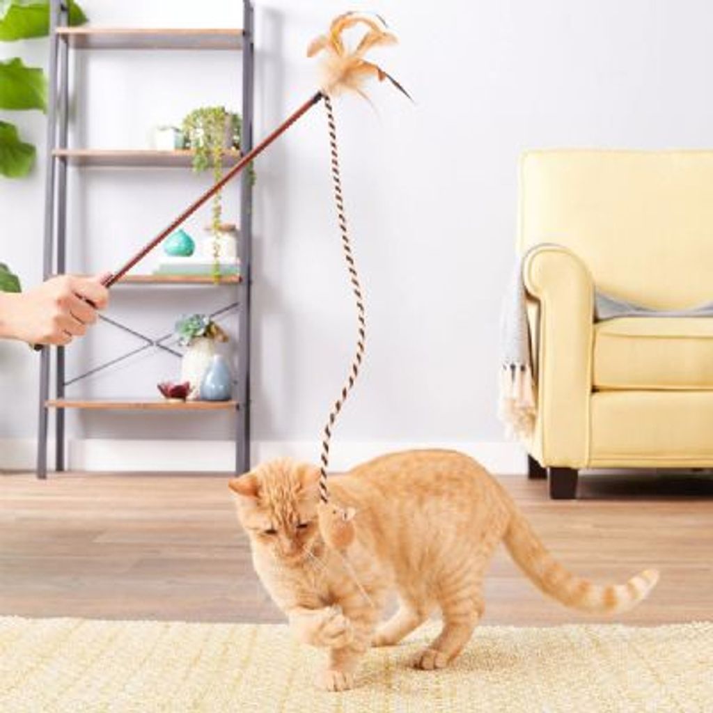 tw-11134207-23020-cygfogtcxbnvca