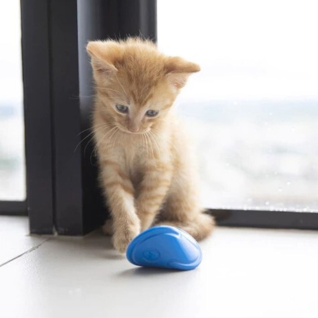 39903e24cf255fe1a8636f7c9a335c7f