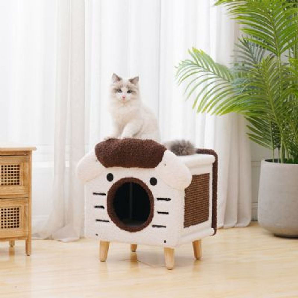 tw-11134207-7qul4-lgt764xrtovd24