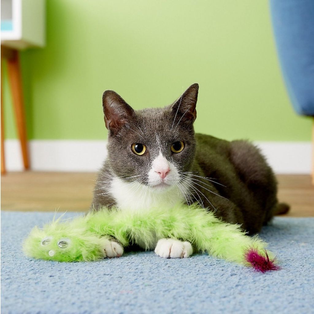 ce101a781127c84e76e313dc57bbb919