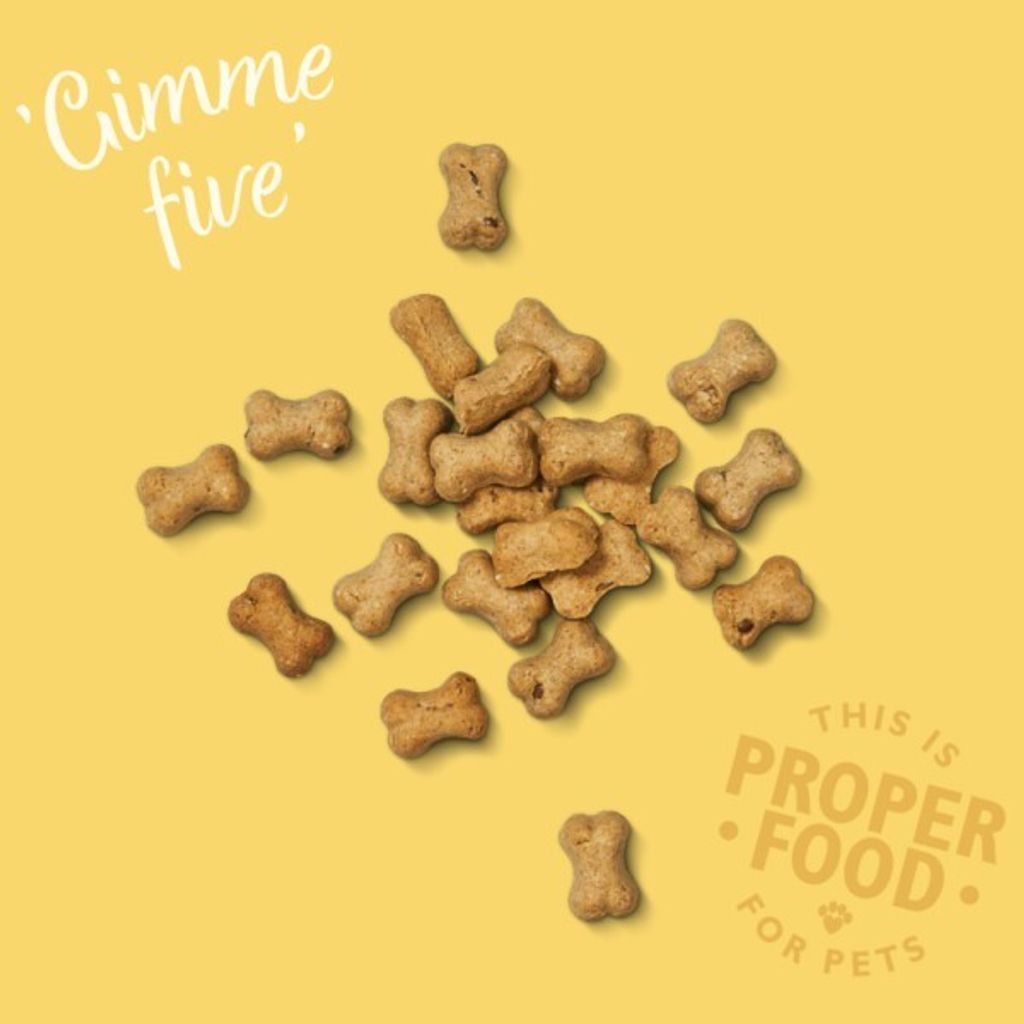 009feade4e7cf8534421eaeca25950a2