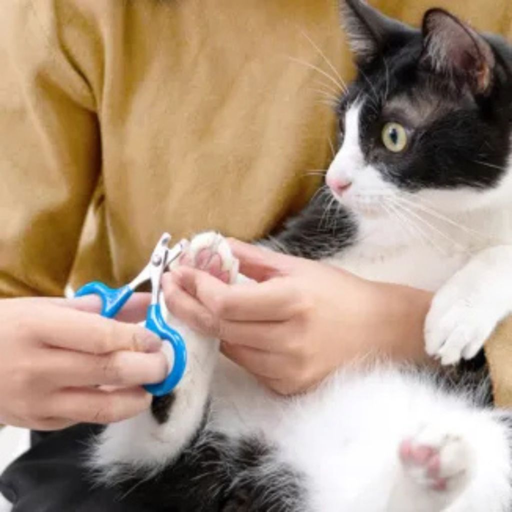 tw-11134207-7rasf-m1400ppb4xwnbc