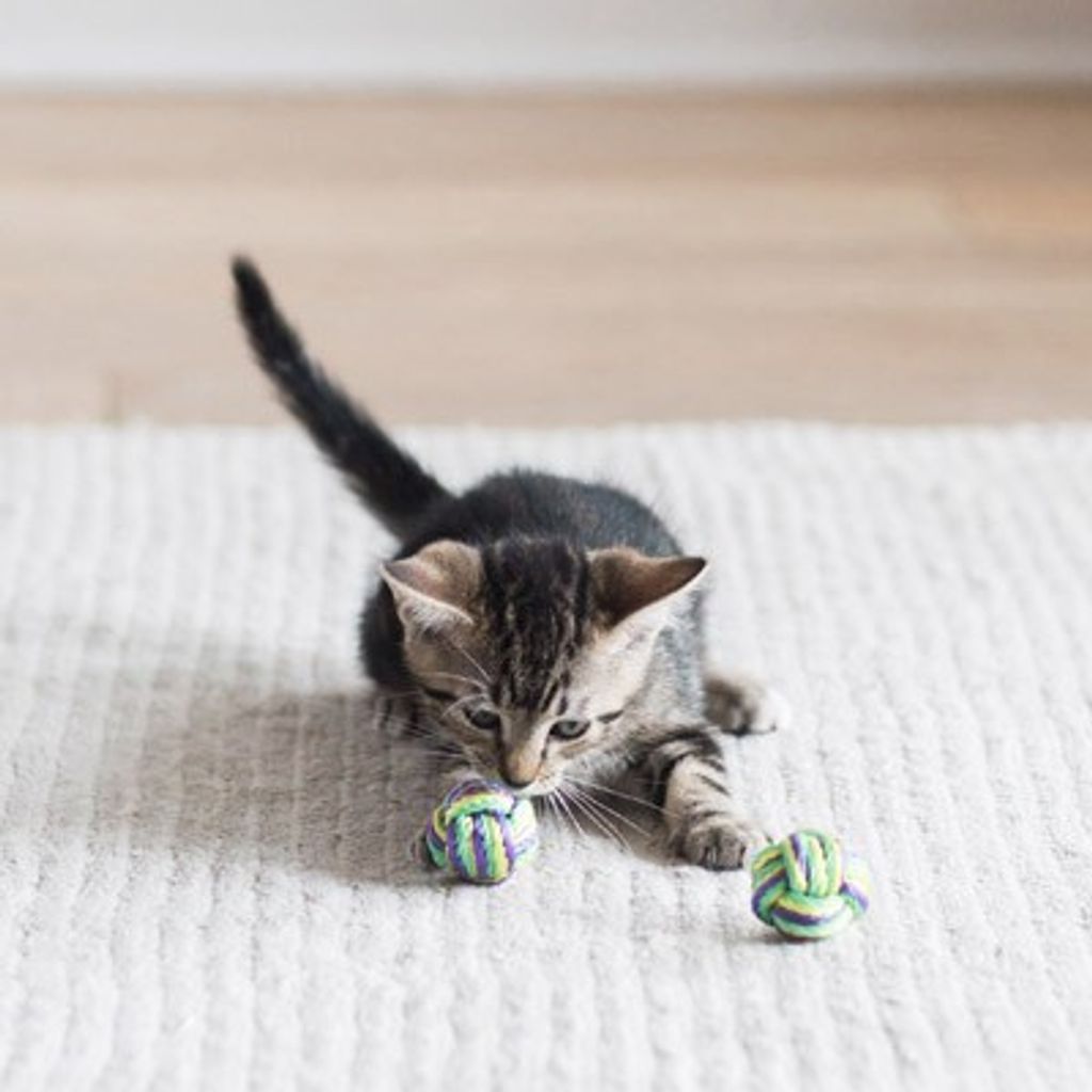 bc2dc388a388ffff71c3768b7cbab5c1